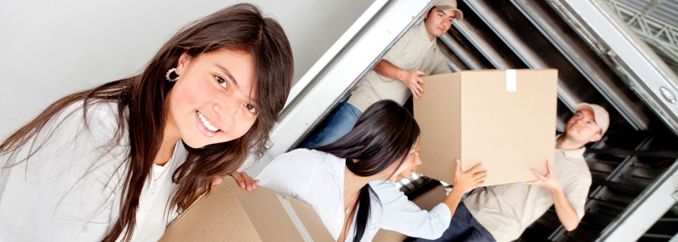 Professional Removalists Glenlee VIC